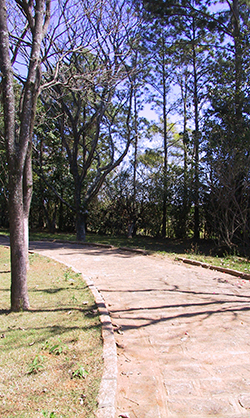 para meditar